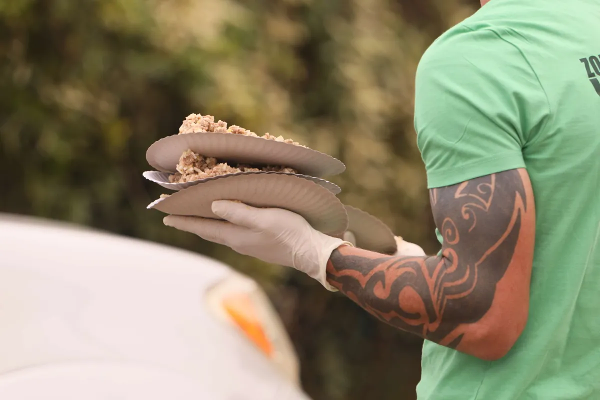 Volunteers supporting Zola's Paw Project