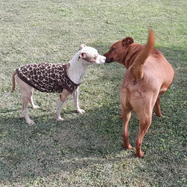 Zola meeting her brother for the first time